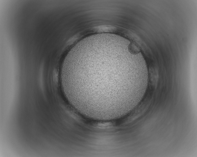 X0000112840357200909041527