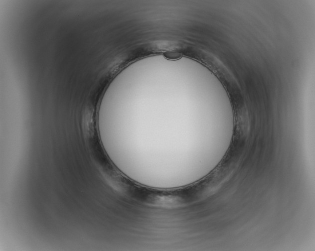 X0000112840360200909041527