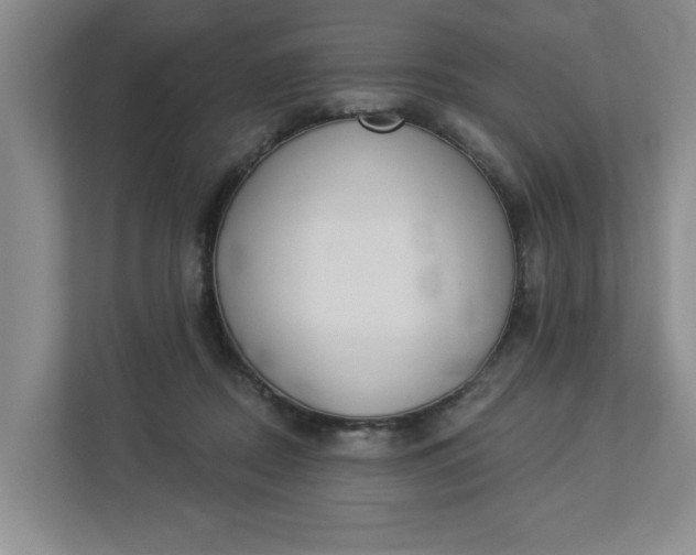 X0000112840362200909041527