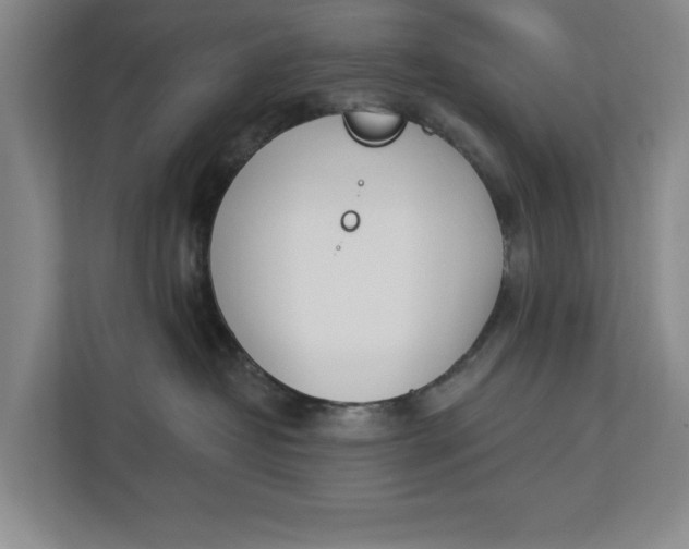 X0000112840382200909041527