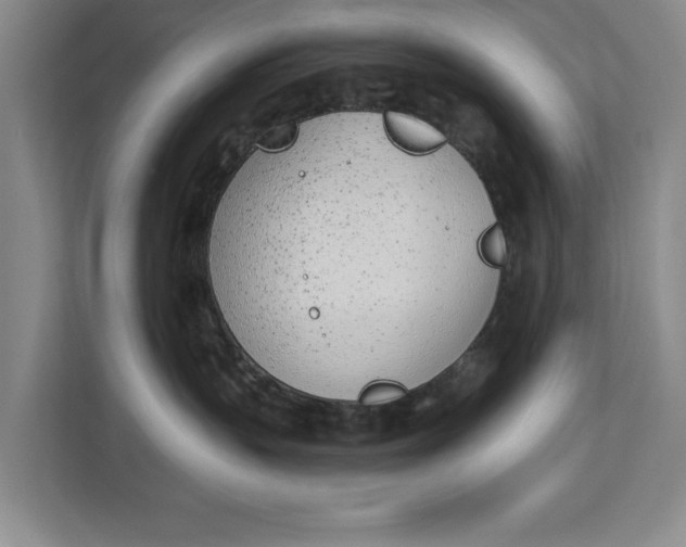 X0000112840383200909041527