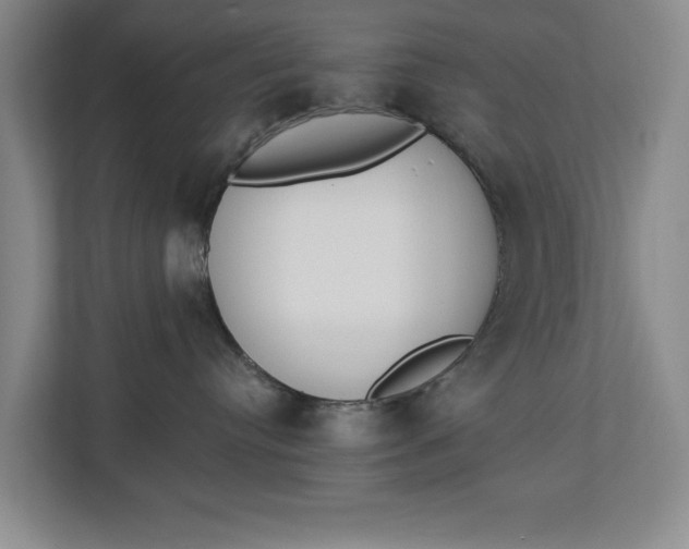 X0000112840384200909041527