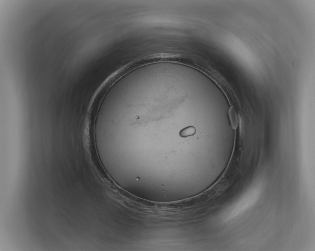 X0000112840387200909041527