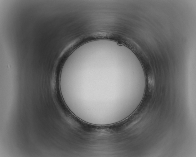 X0000112840396200909041527