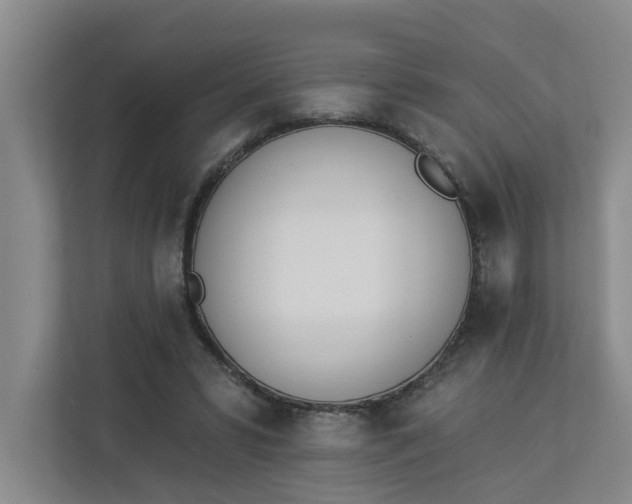 X0000112840399200909041527