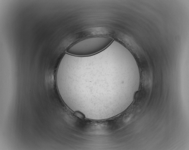 X0000112840405200909041527