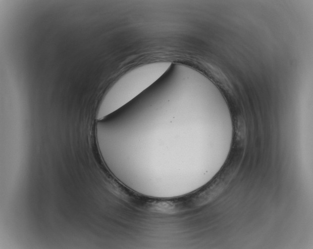 X0000112840409200909041527