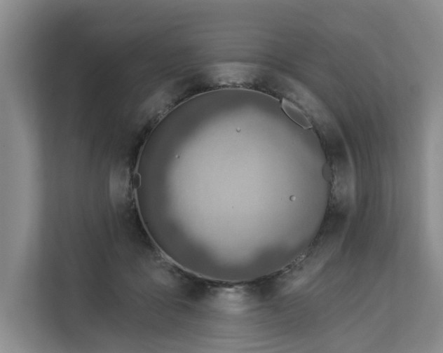 X0000112840411200909041526