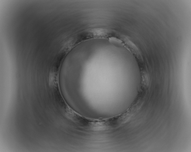 X0000112840419200909041526