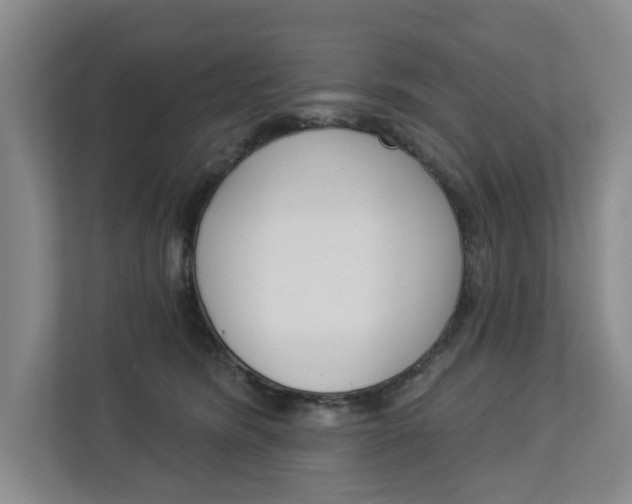 X0000112840420200909041526