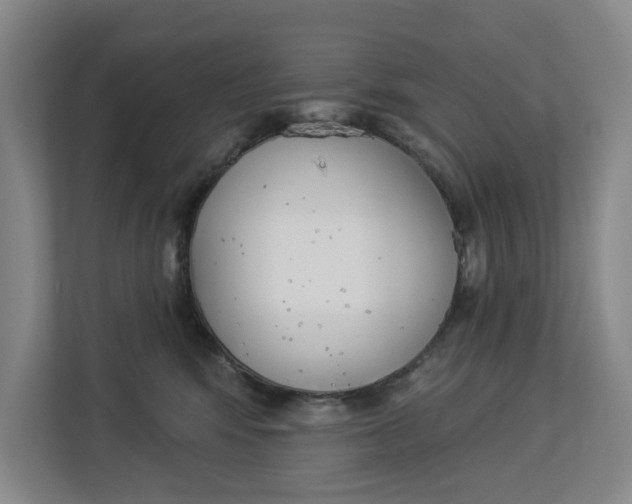 X0000112840424200909041526