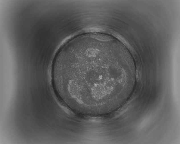 X0000112840438200909041526