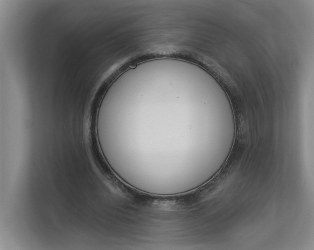 X0000112840440200909041526