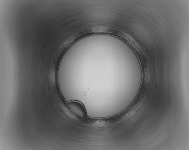 X0000112840441200909041526