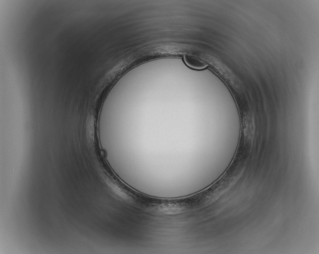 X0000112840445200909041526