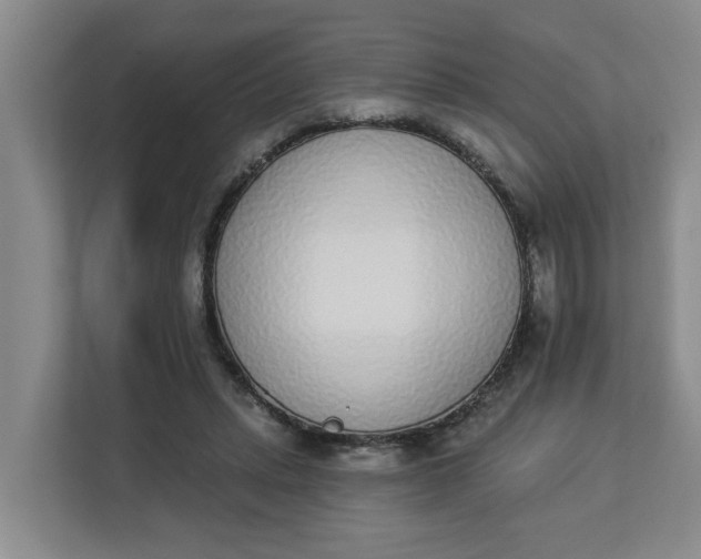 X0000112840447200909041526