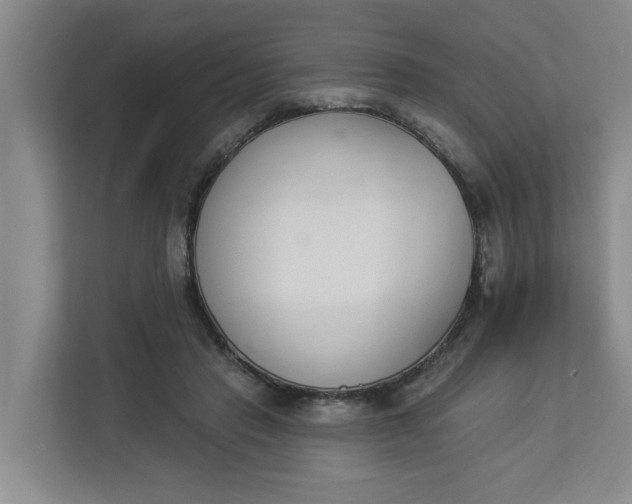 X0000112840453200909041526