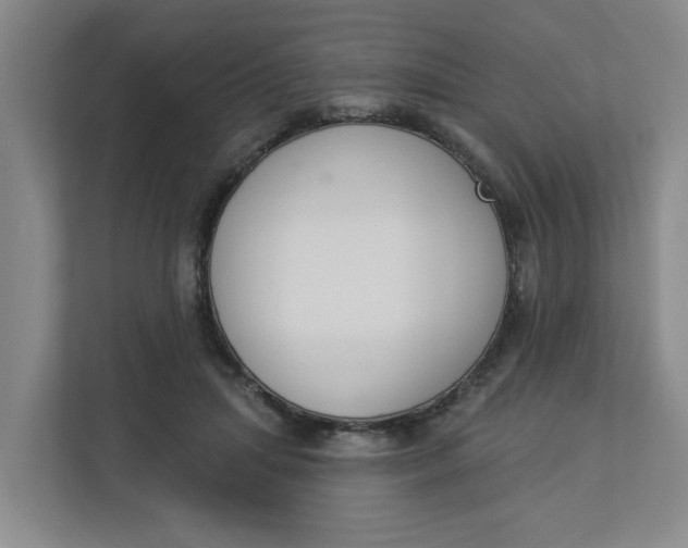 X0000112840455200909041526