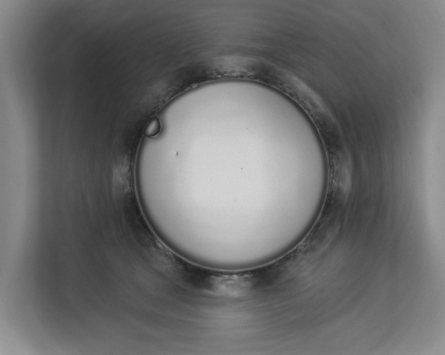 X0000112840465200909041526