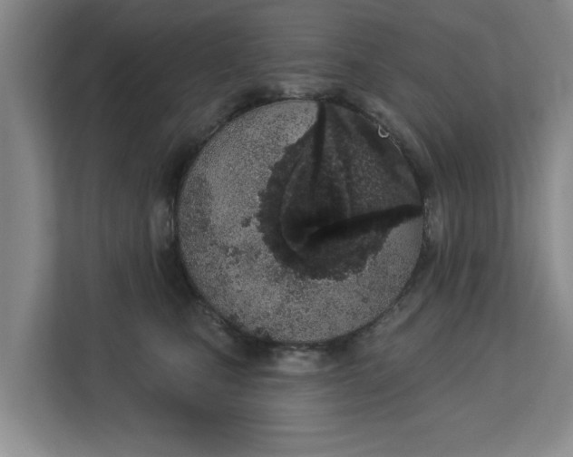 X0000112840471200909041526