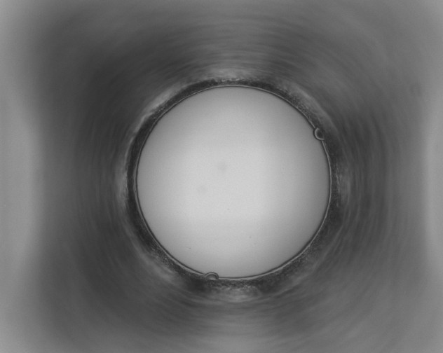 X0000112840488200909041526