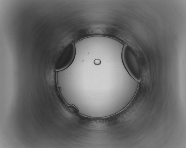 X0000112840489200909041525