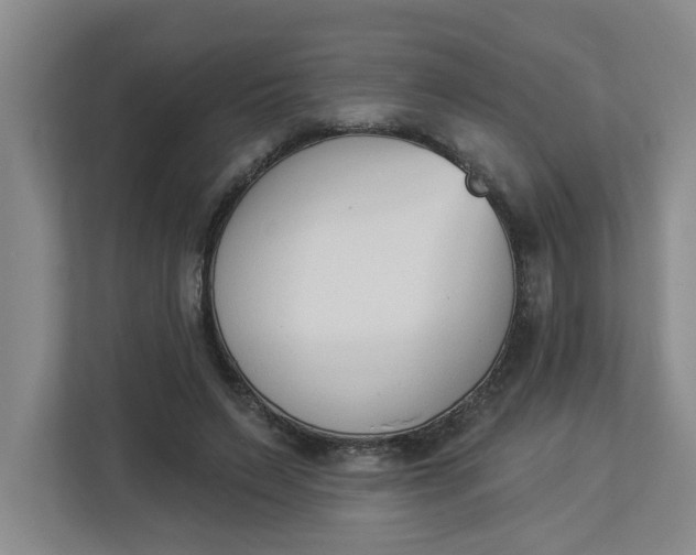 X0000112840495200909041525