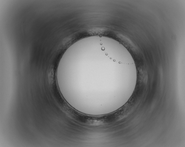 X0000112840498200909041525