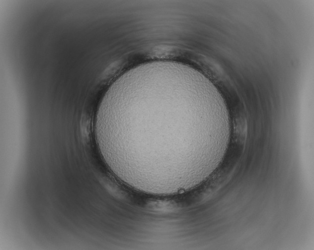 X0000112840503200909041525