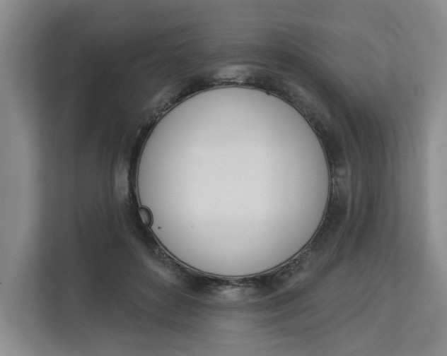 X0000112840504200909041525