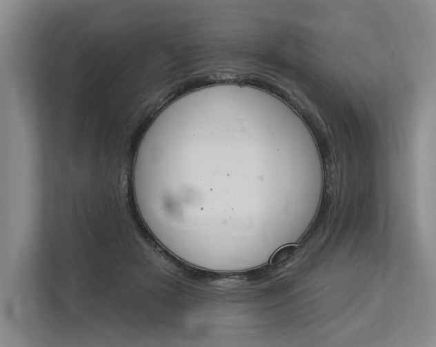 X0000112840505200909041525