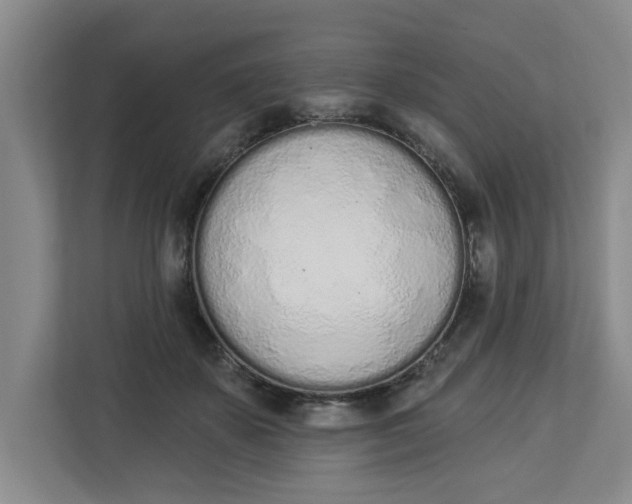 X0000112840507200909041525