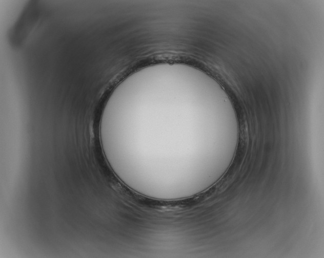 X0000112840508200909041525