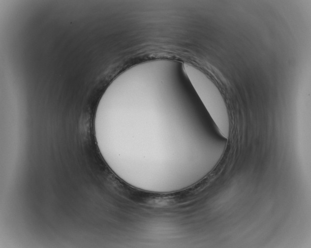 X0000112840513200909041525