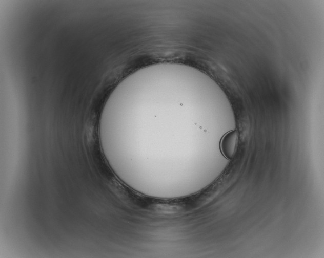 X0000112840515200909041525