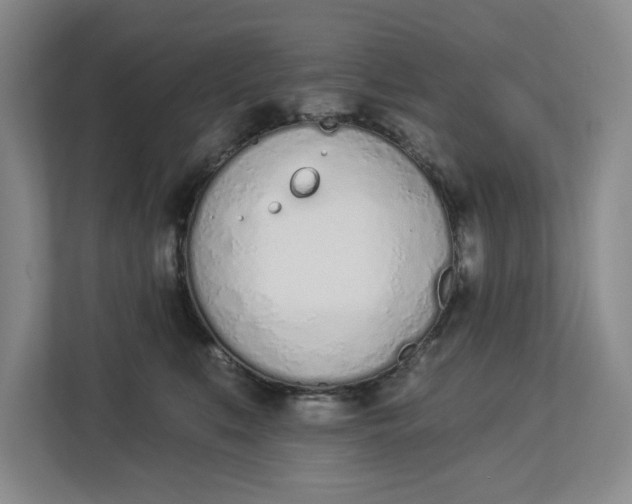 X0000112840519200909041525