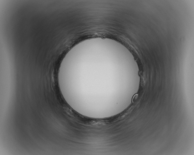 X0000112840520200909041525