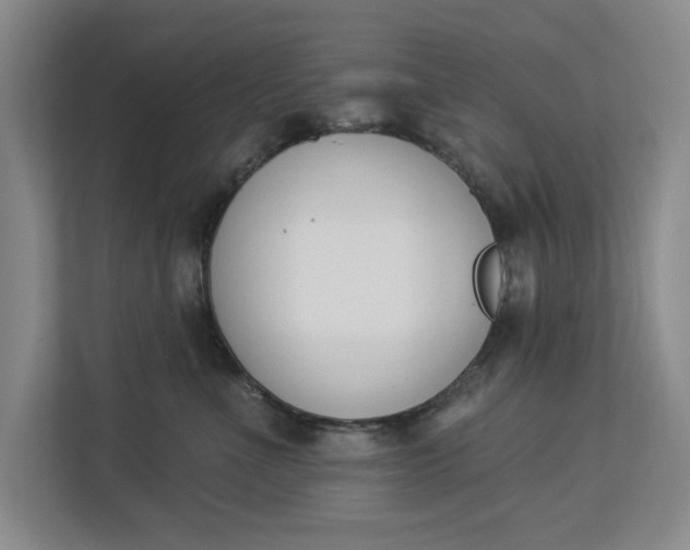 X0000112840523200909041525