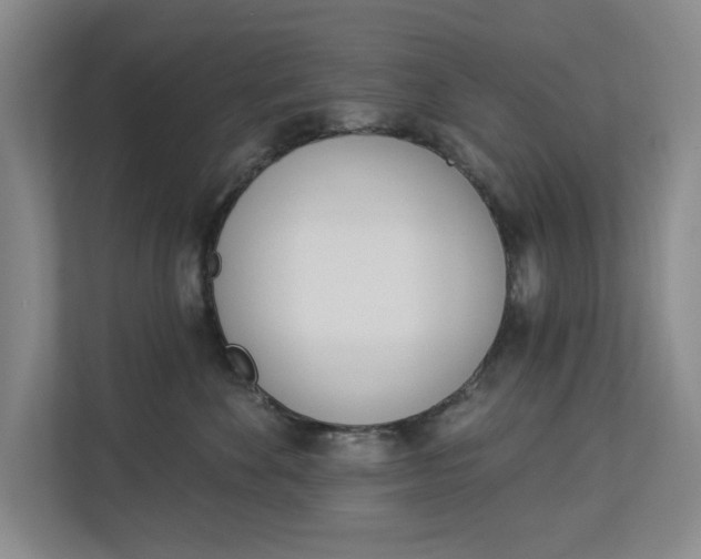 X0000112840524200909041525