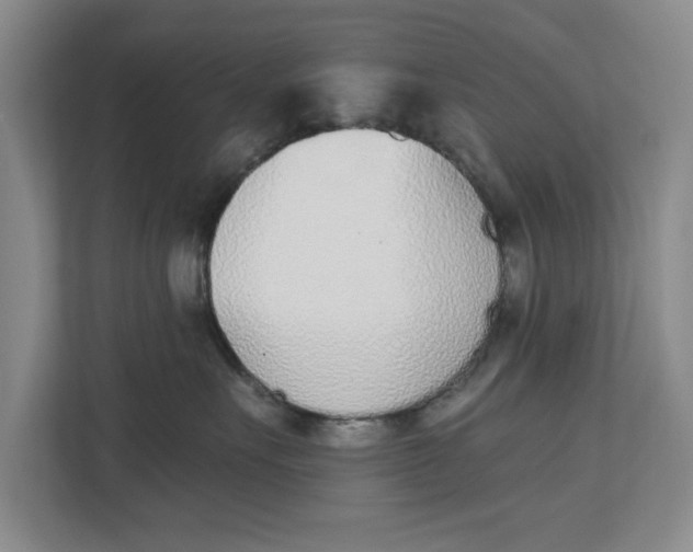 X0000112840527200909041525