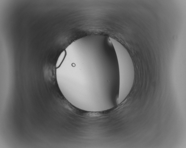 X0000112840528200909041525