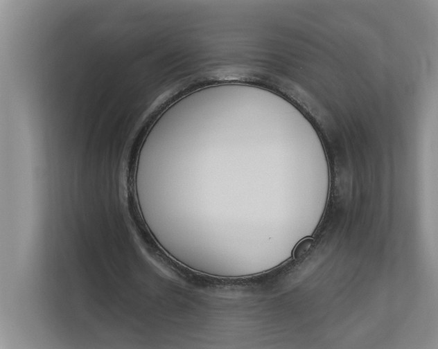 X0000112840530200909041524