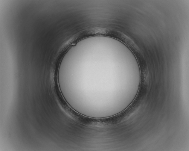 X0000112840538200909041524