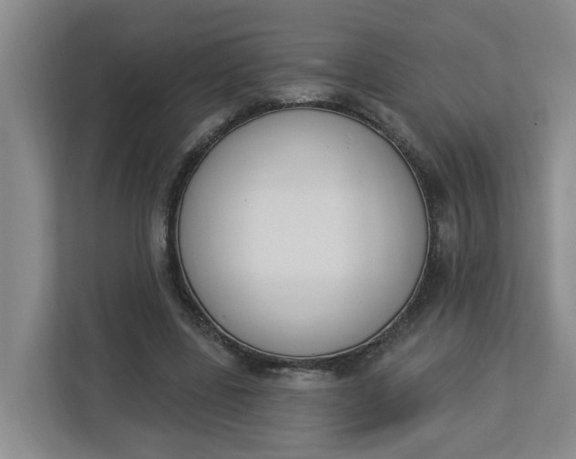 X0000112840539200909041524