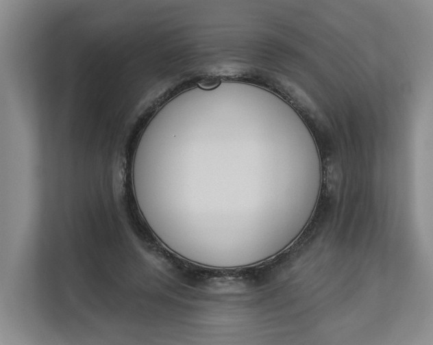 X0000112840544200909041525