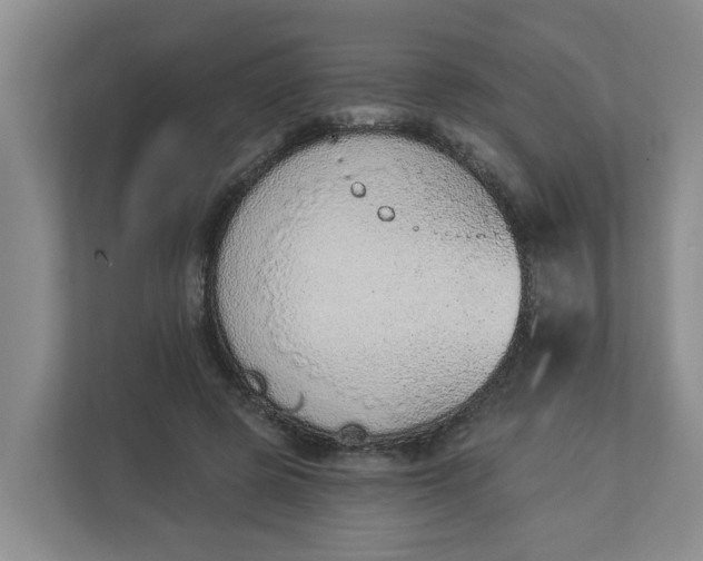 X0000112840545200909041525