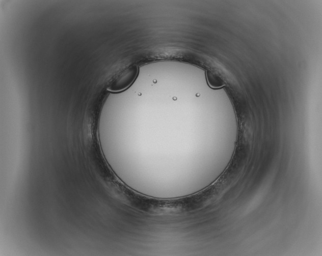 X0000112840546200909041525