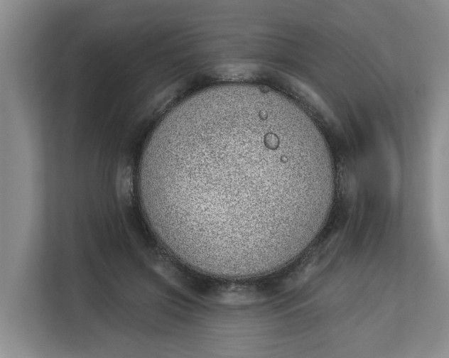 X0000112840549200909041525