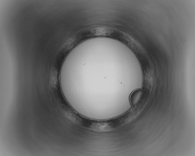 X0000112840554200909041525