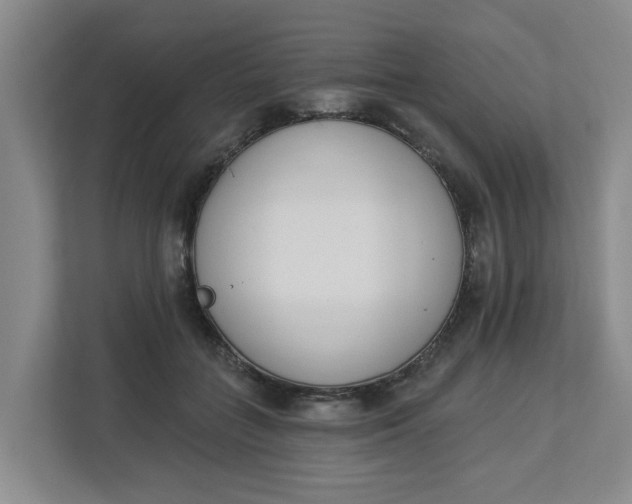 X0000112840555200909041525